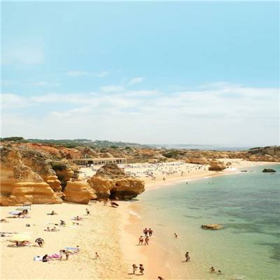 足球赌注软件app下载